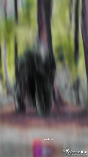 @๐ส ๐αส๐๐ข๐ข ๐ฅ โฟโฟ๐ค