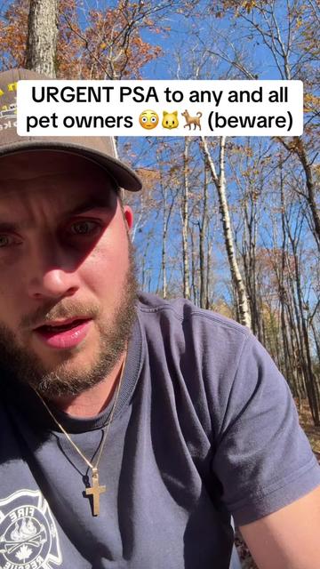 @Shayne Vibes Truth