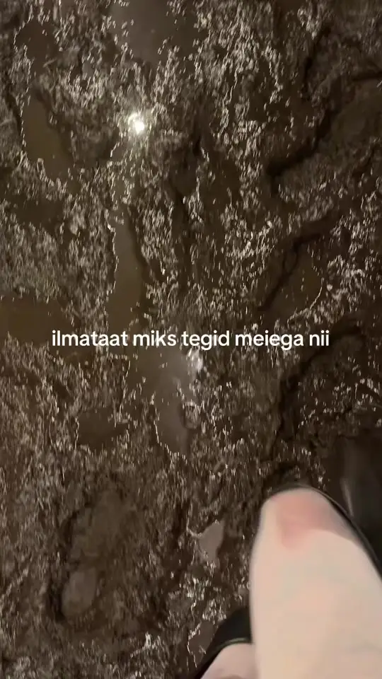 @roosabanaanike