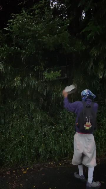 @꧁弁座꧂