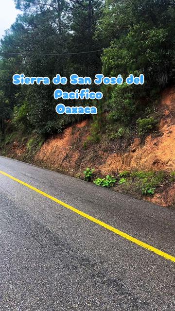 @caballeroviajero0317