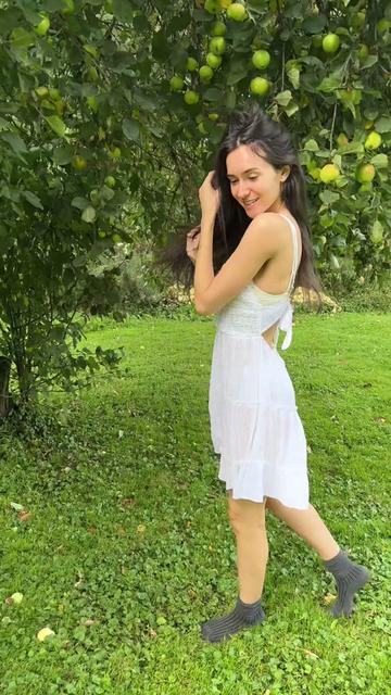 @dashawilder_