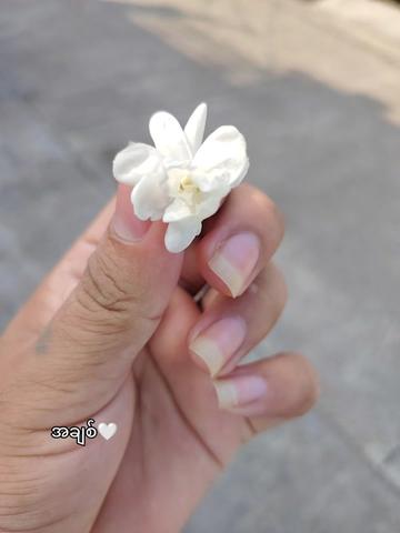 @_8uang@GUHAI