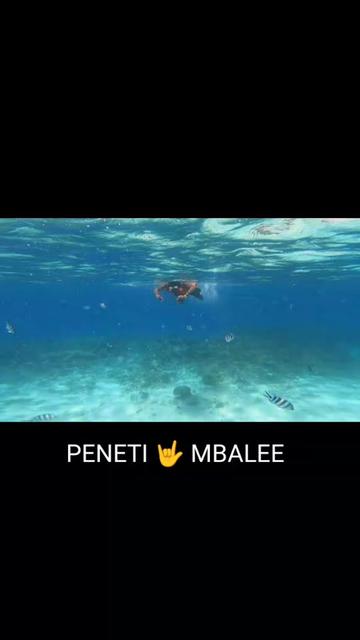 @mbalee