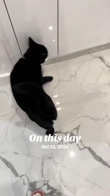 @Oscar Jeremy the cat!