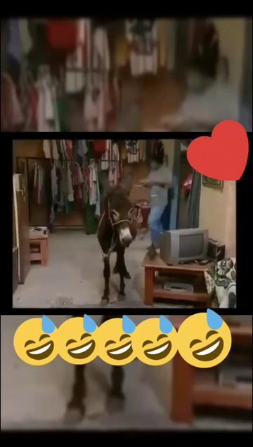 @نسيبتي_لعزيزة