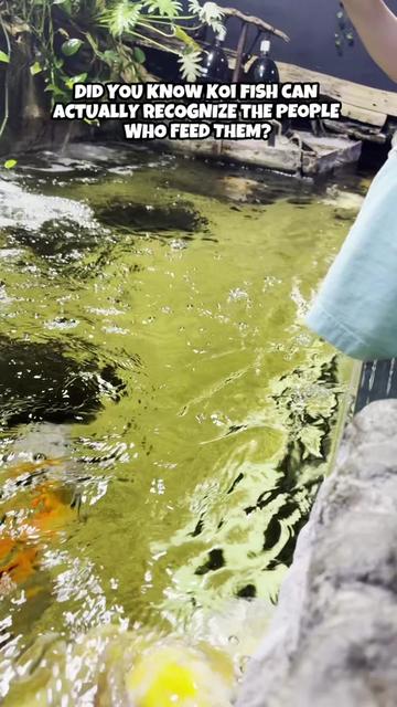 @San Antonio Aquarium