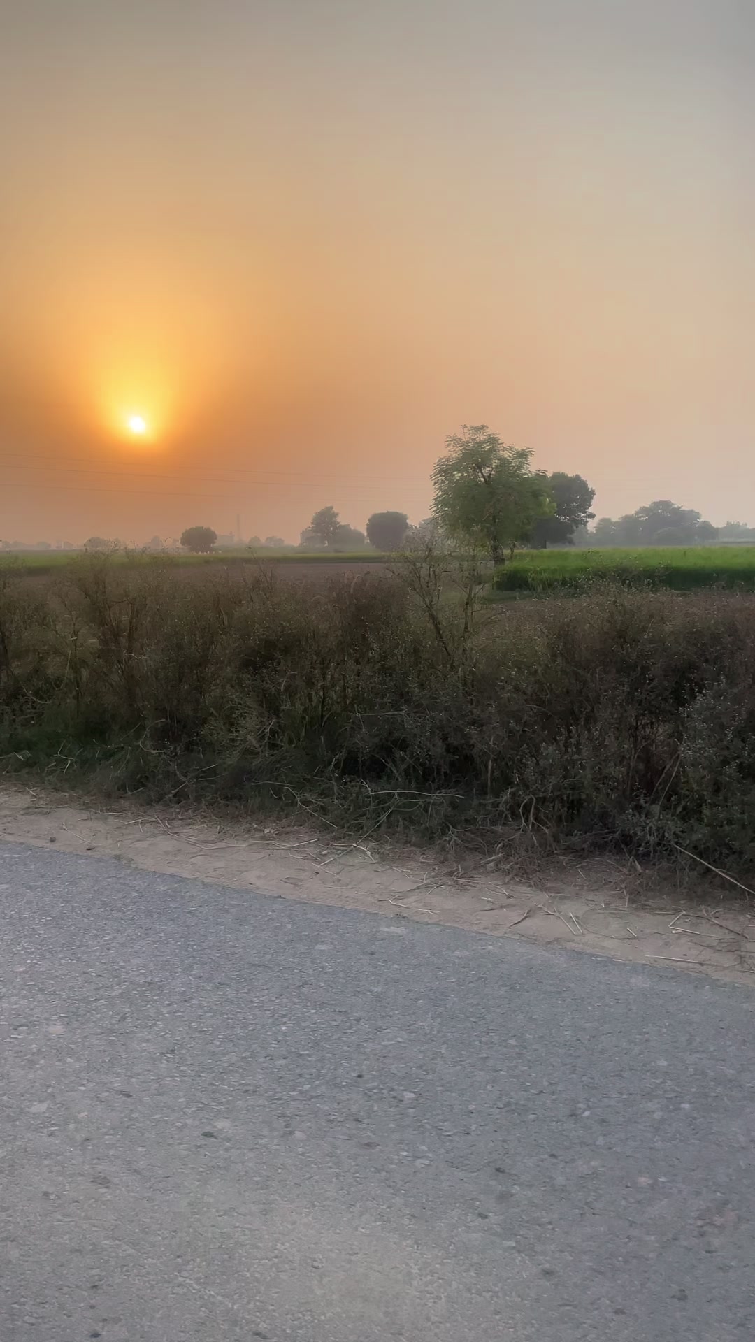 @Rehab Fatima 🇵🇰
