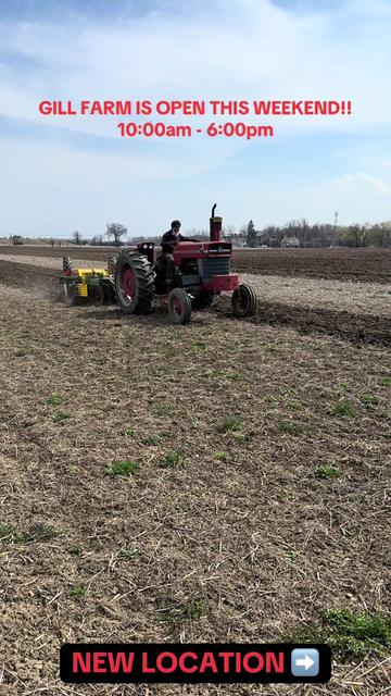 @GillFarm_Caledon