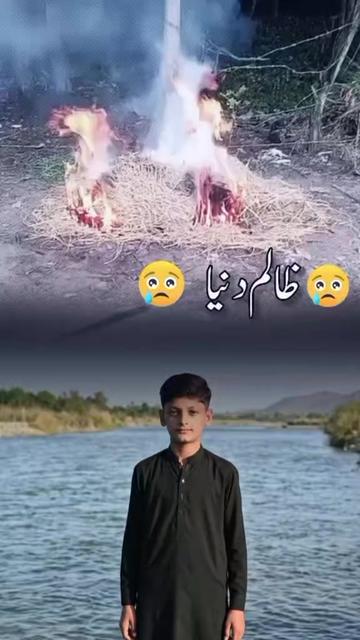 @SaddamHanif143