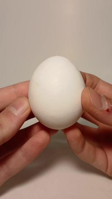 @BunnyBombStudios