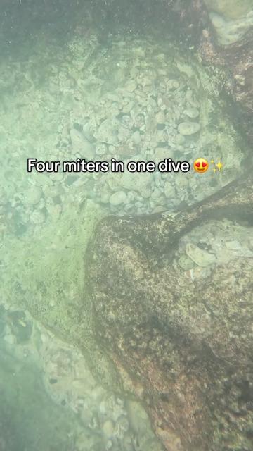 @Treasure Hawaii