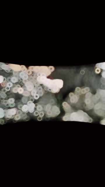 @🥷🏼🇦 🇳 🇮 🇱🖤🧞♂️😈