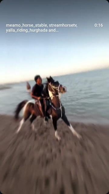 @streamhorse