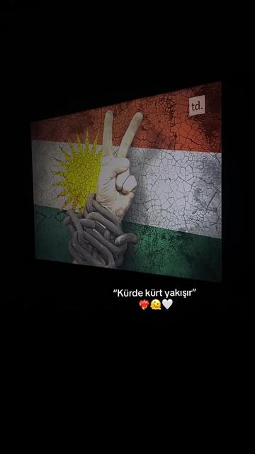 @z_yry
