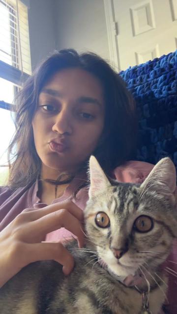 @swetagupta