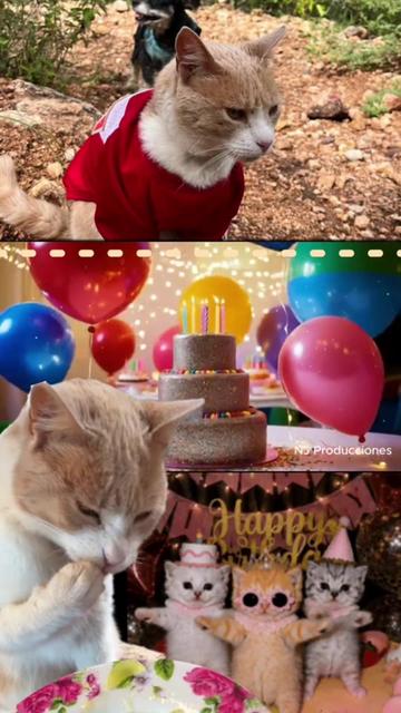 @🐈Rebeca y sus ocurrencias