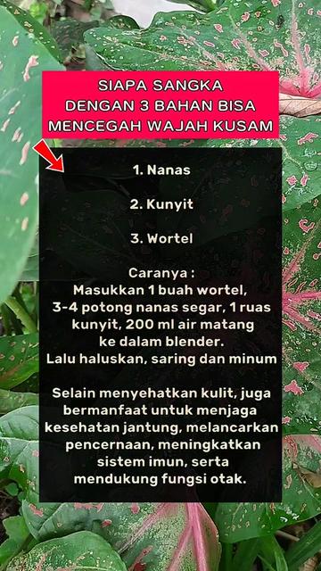 @Ghoniyah