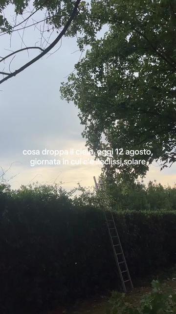 @Luna