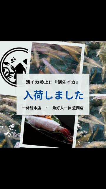 @株式会社魚好人