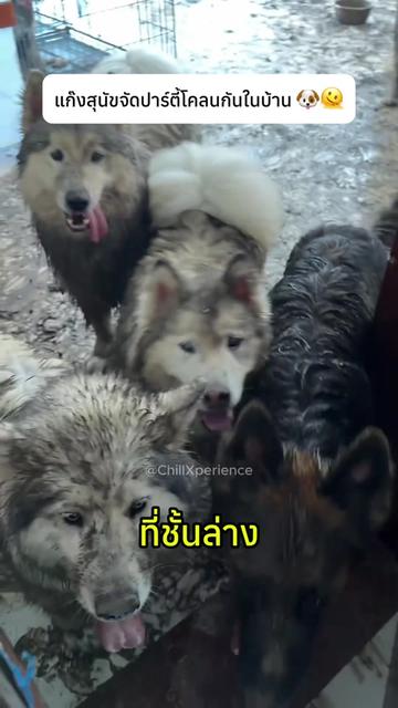 @Easy lifeHQ