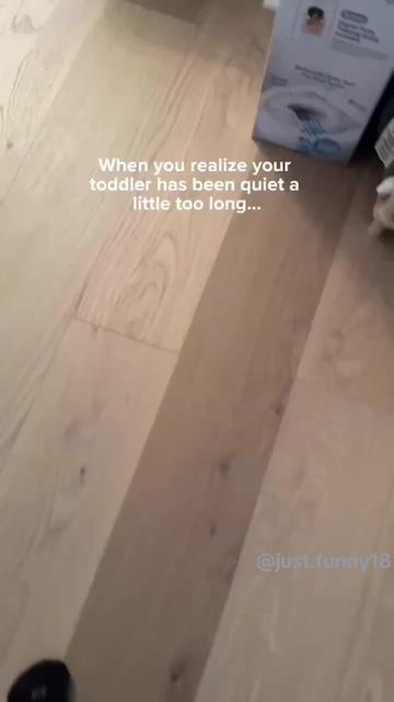 @Funny Animals😽🐶❤️