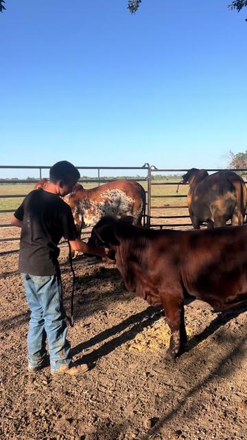 @The V6 Ranch