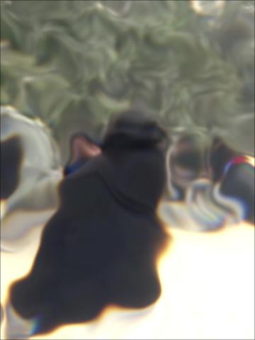 @ðð² ððð§ ðâ€ïž