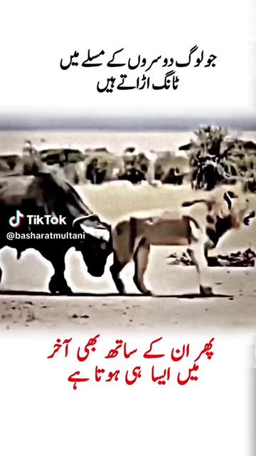@khidra Mangni ala