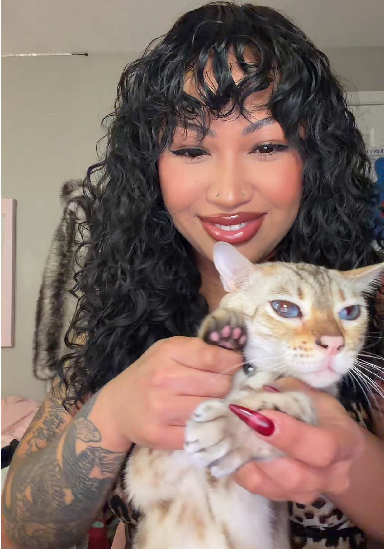 @Mirajane The Bengal🐾