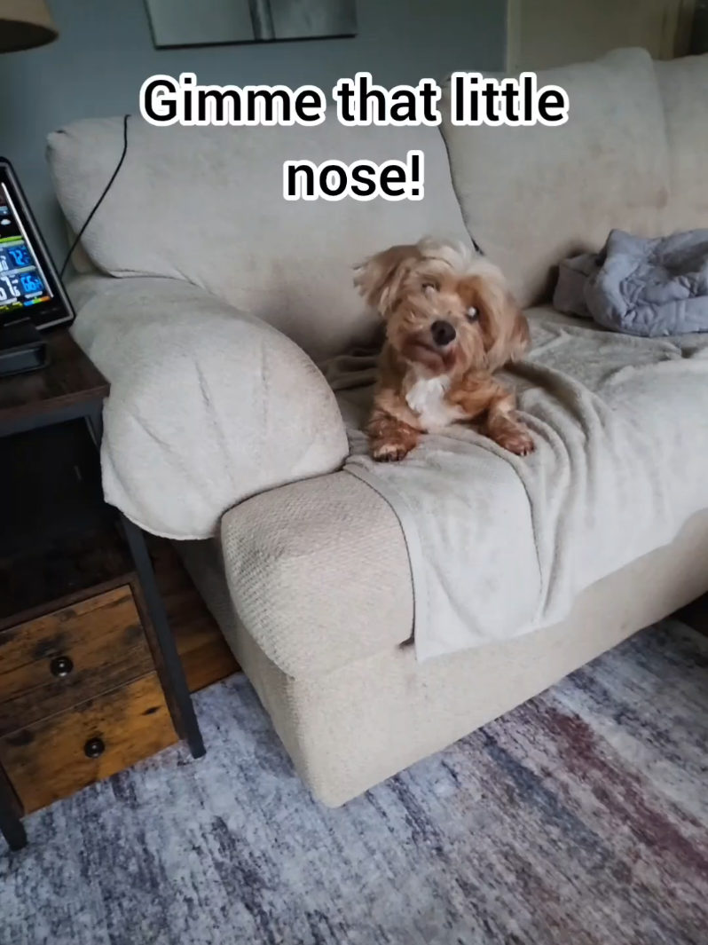 @BuddyandMikes Pal