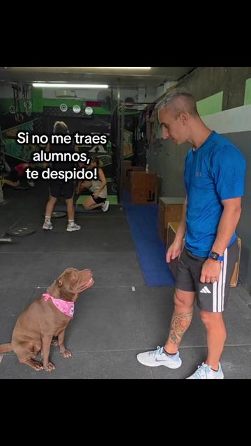 @Rodrigo Schirripa
