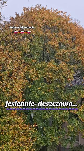 @🍀...Beata_Szmid_Harmonie...💚
