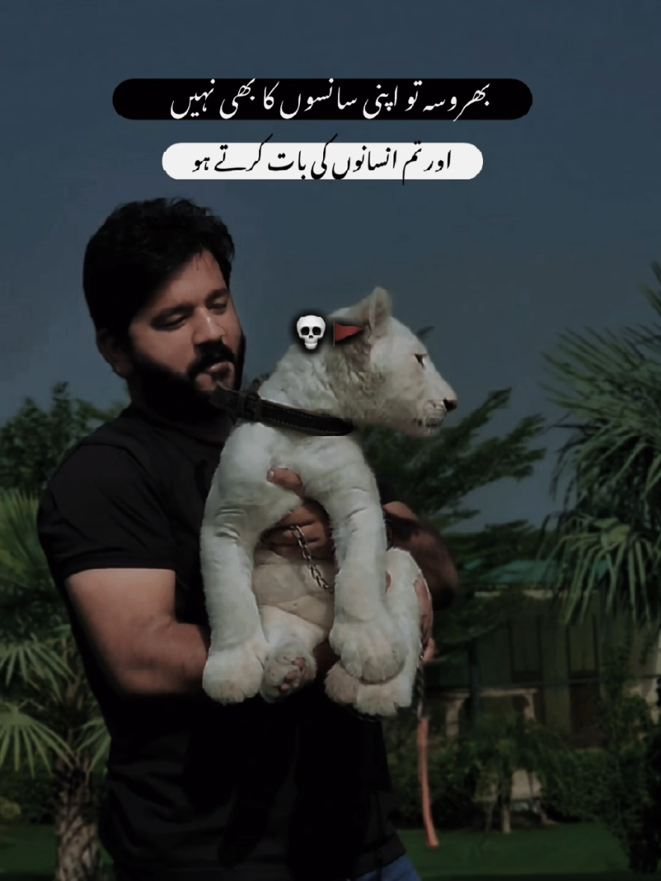 @RehAn