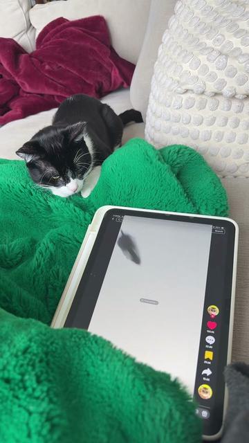 @Emily Lemoine