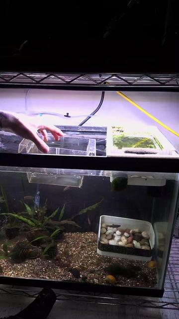 @Schalkx.Aquatics