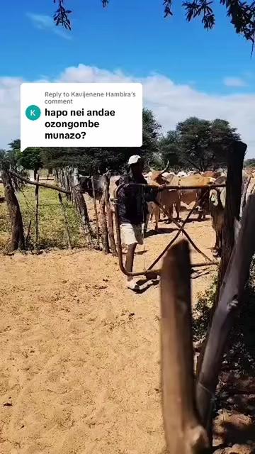 @Pally Kapukare ❤️
