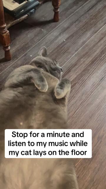 @Ian P. Lewis | Composer 🎵