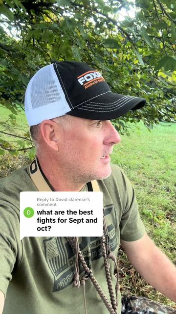 @FOXPRO Game Calls