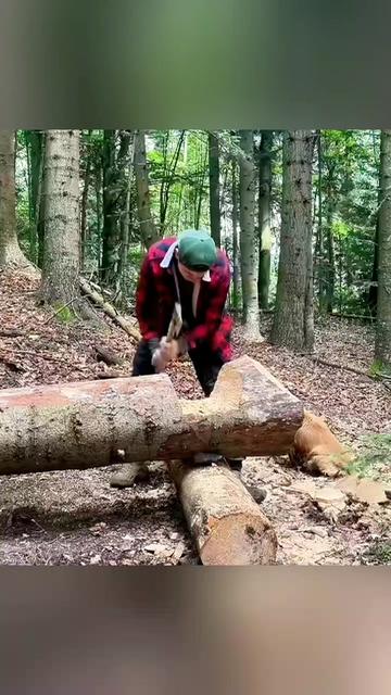 @lesnoy_outdoor