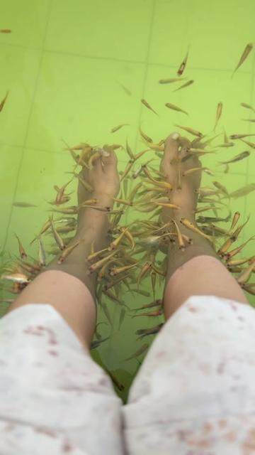 @Nara_Store2025