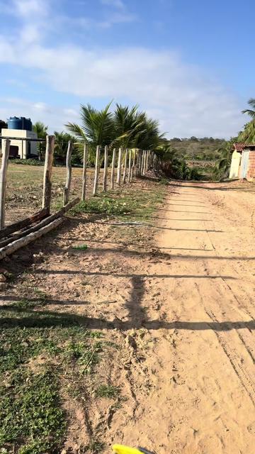@Jailton dos Anjos 🤠