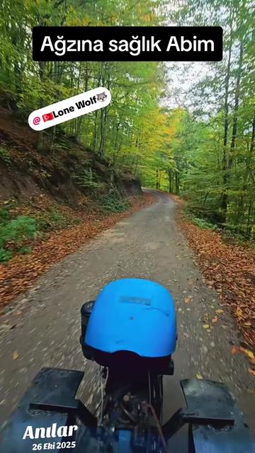 @SARI KOMUTAN🇹🇷