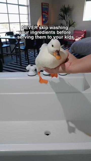 @ducks_in_space🪿🪿💦