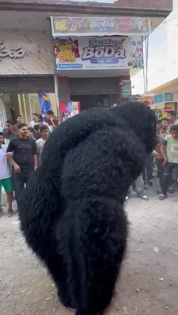 @بودا بتاع غوريلا🦍🔥