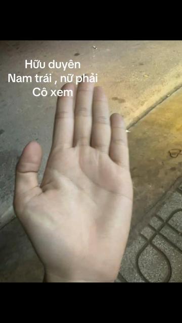 @Xem chỉ tay,tử vi(phí tuỳ tâm)