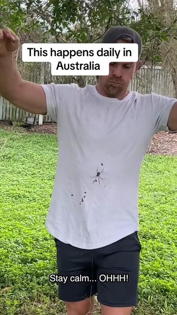 @Vespera