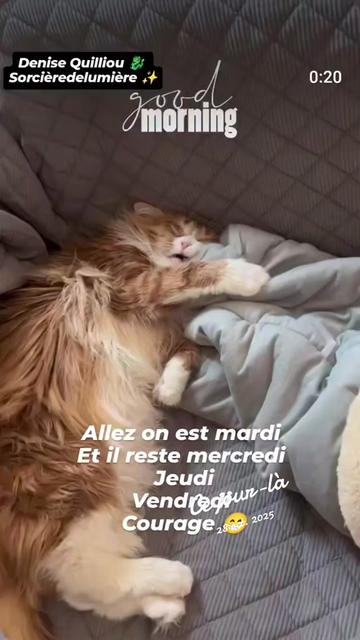 @Lauret Denise ✨🐉✨