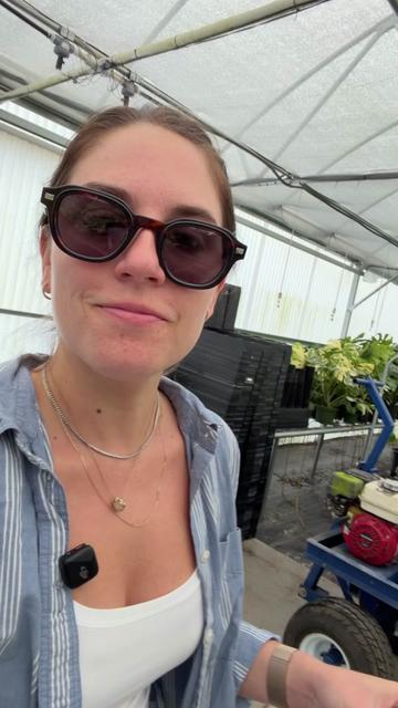 @BWH Plant Co