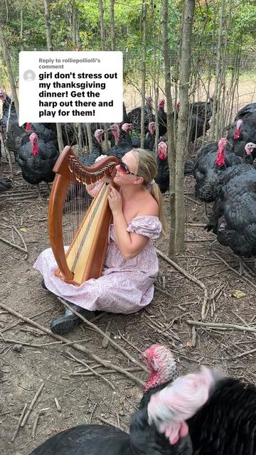 @farmerandtheharpiist